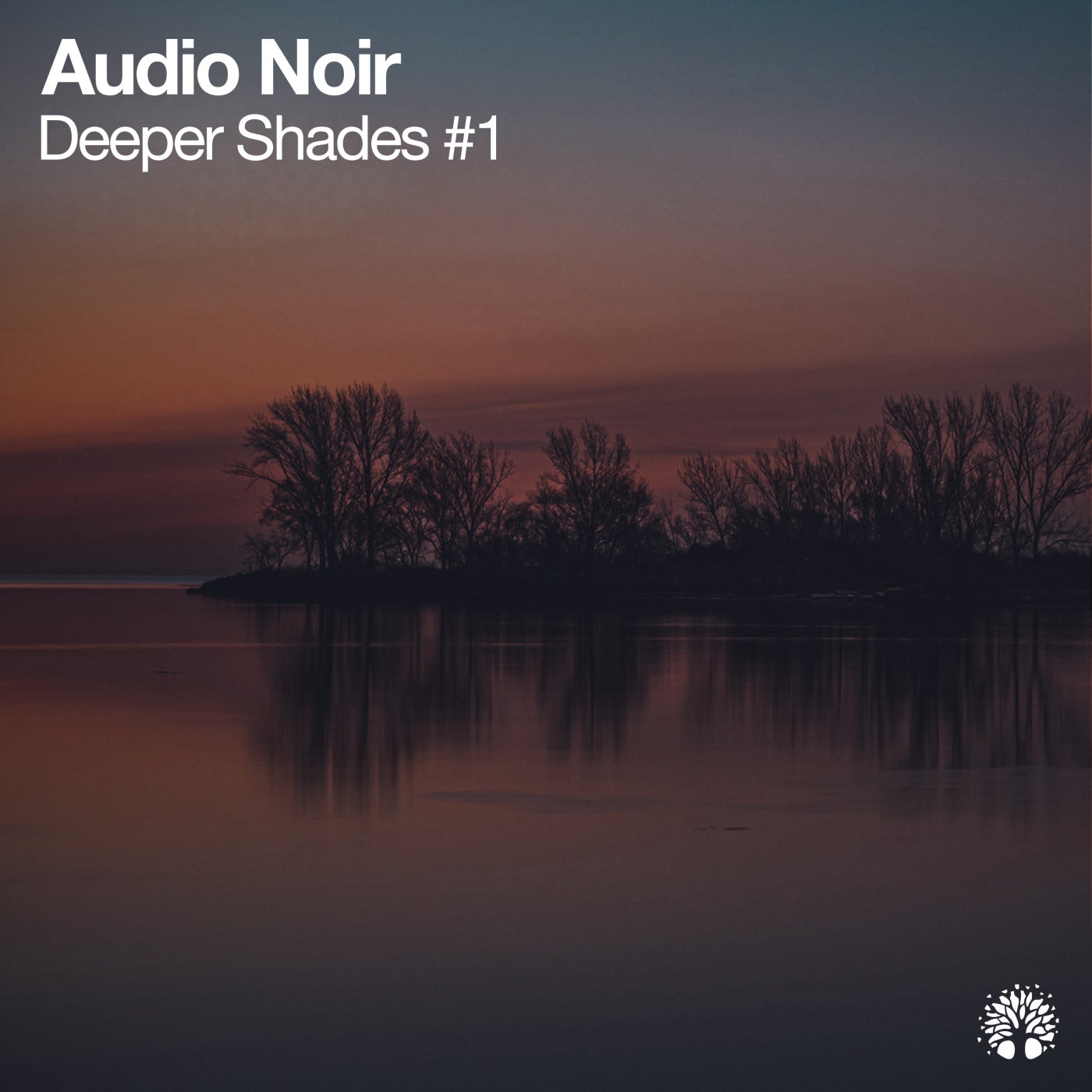 Audio Noir – Deeper Shades #1 [ETREE409]